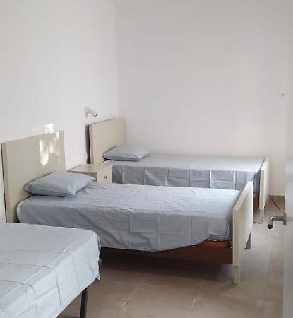 Apartamento Pis Carretera Santa Pau Olot Exterior foto