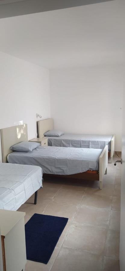 Apartamento Pis Carretera Santa Pau Olot Exterior foto